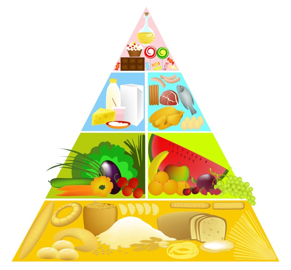prother it importanza-alimentazione 002